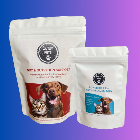 Bundle & Save - Gut & Nutrition & Anti-inflammatory